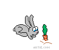 bunny-carrot.gif